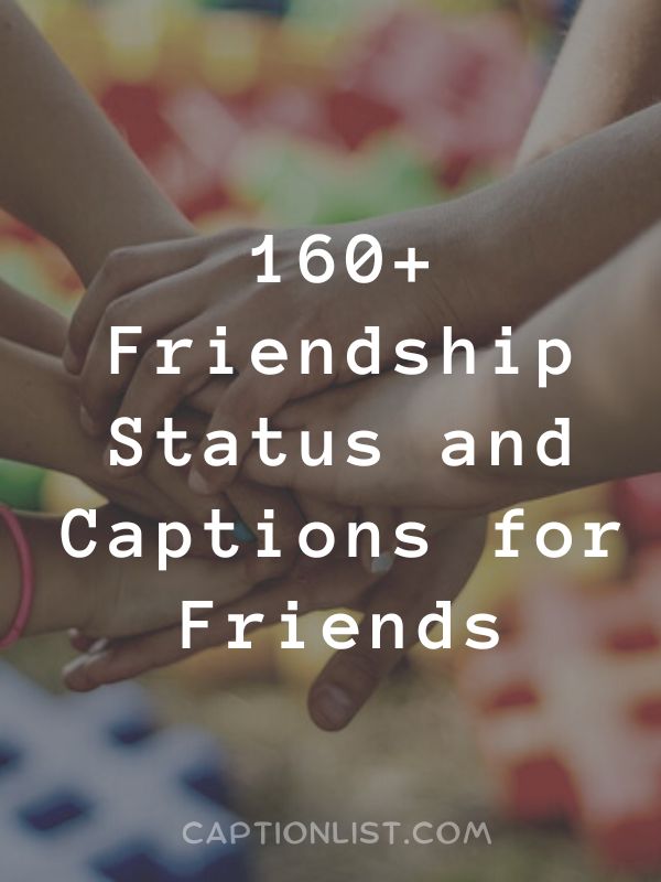 Friendship Status and Captions for Friends