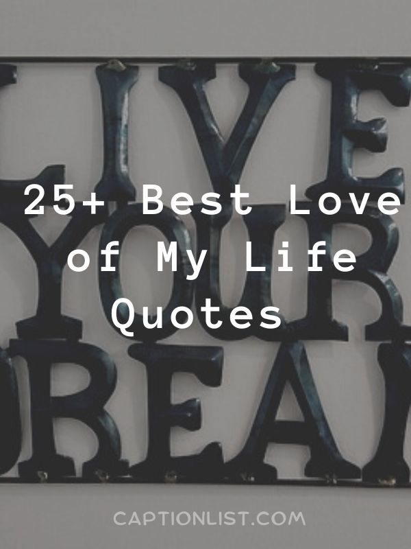 Best Love of My Life Quotes 