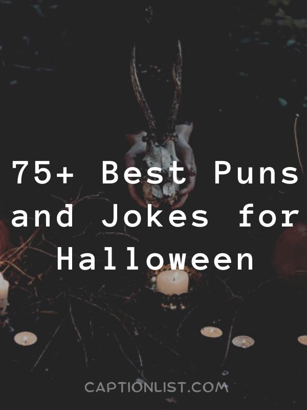 Best Puns and Jokes for Halloween