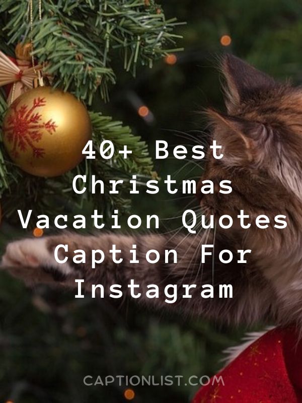 Best Christmas Vacation Quotes Caption For Instagram