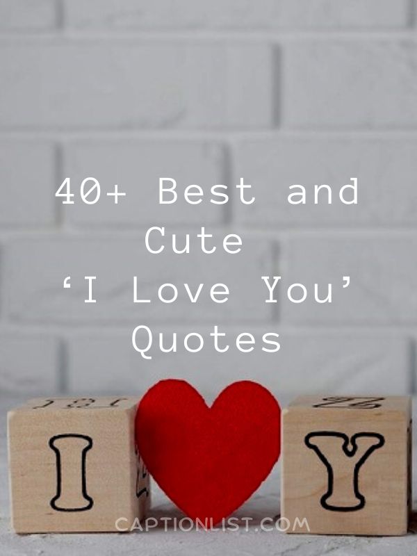 Best and Cute I Love You Quotes