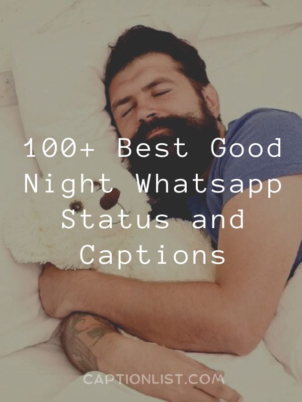 Best Good Night Whatsapp Status and Captions