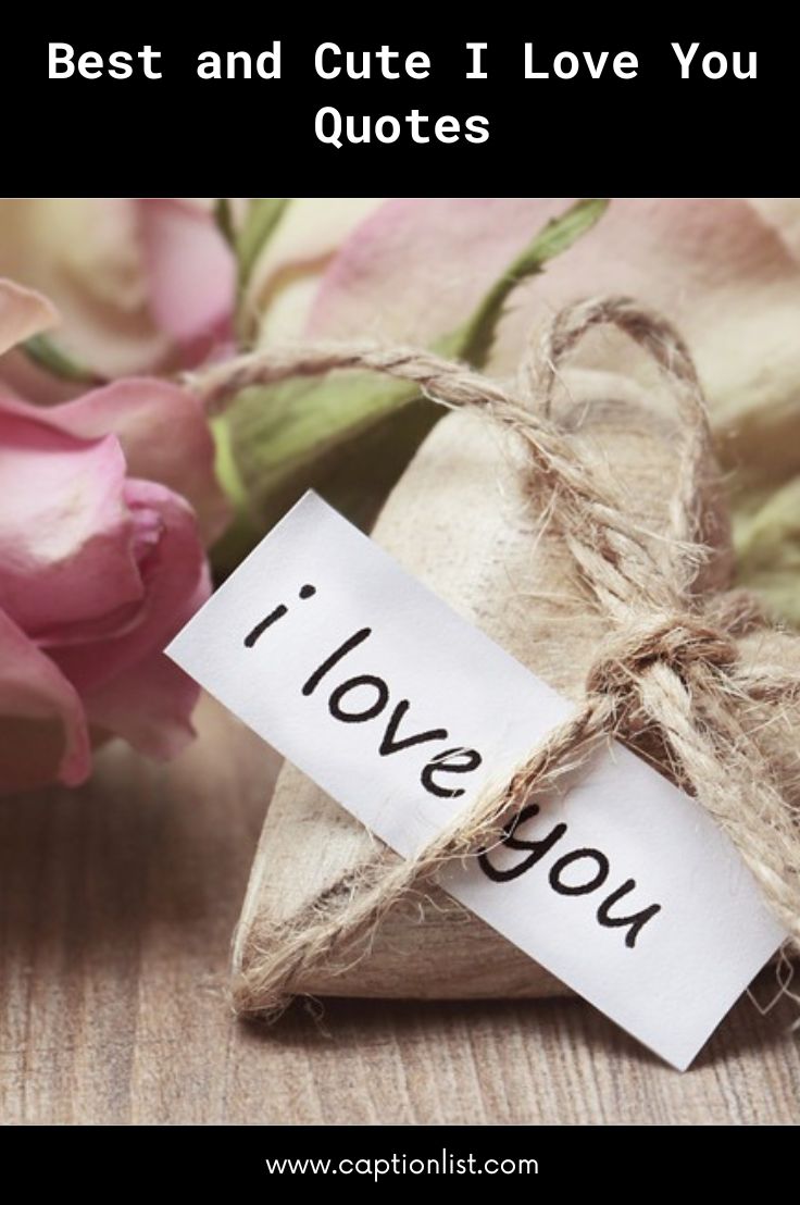 Best and Cute I Love You Quotes