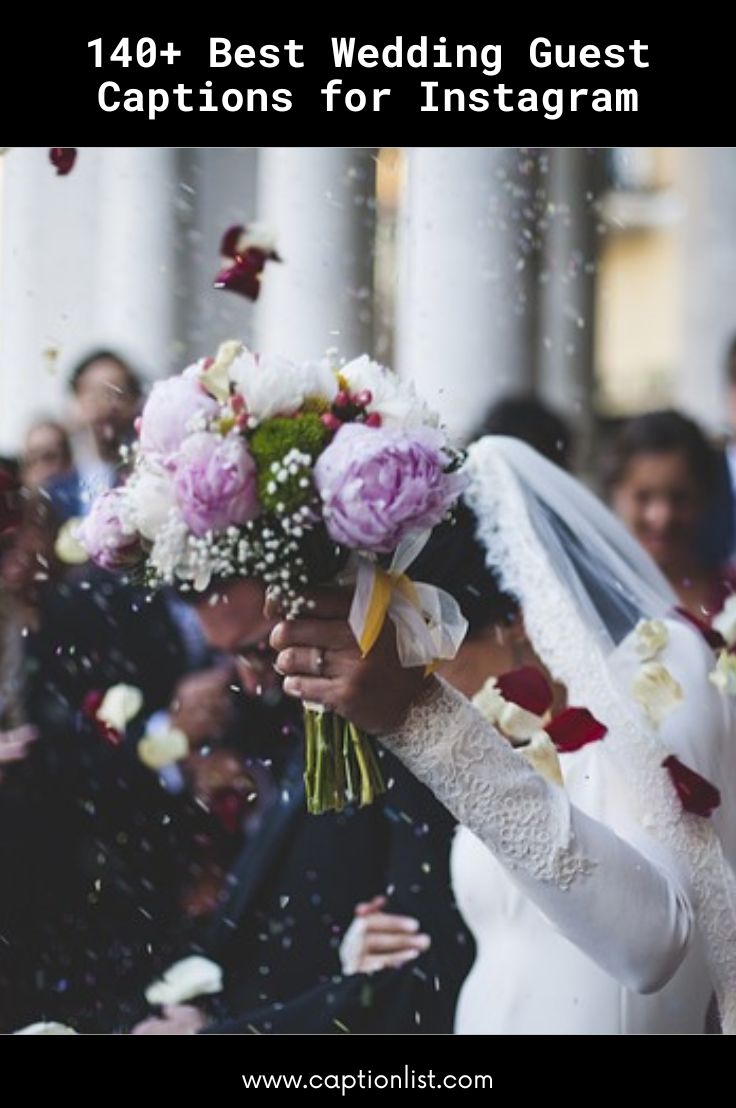 140+ Best Wedding Guest Captions for Instagram - CaptionList
